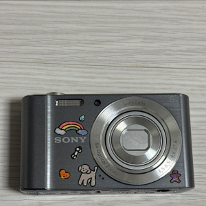 소니 사이버샷 DSC-W810