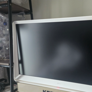 lg룸앤팁 2세대 팝니다