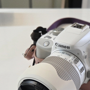 캐논 EOS 100D 화이트 카메라 ( 50mm 단렌즈 등 사진 구성품 전부 )