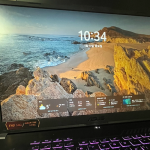 ASUS TUF 게이밍 F17 메가 그레이