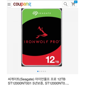 씨게이트 아이언울프 프로 12TB (나스)