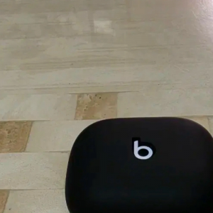 애플 파워비츠 프로2 블루투스 이어폰