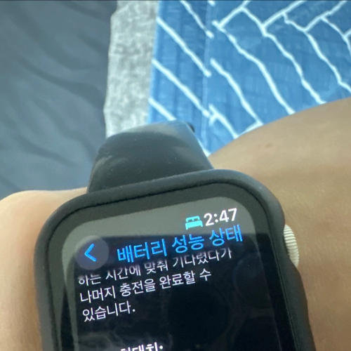 애플워치se2 44mm