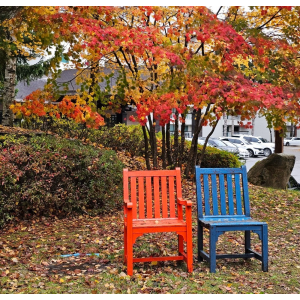 암웨이 정수기 필터