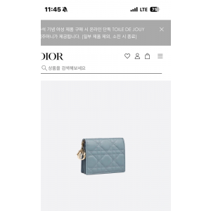 디올 bs지갑팔아요