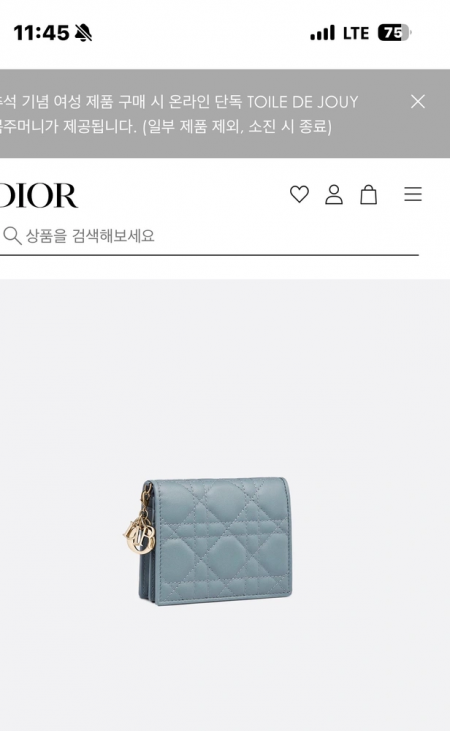 디올 bs지갑팔아요