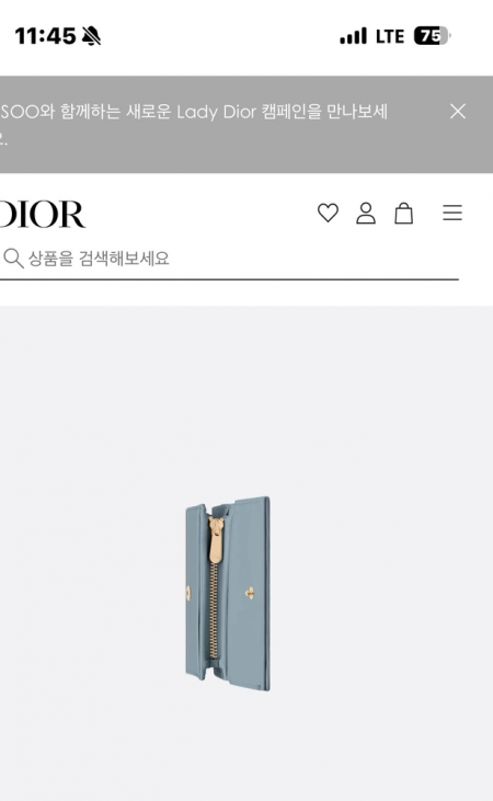 디올 bs지갑팔아요