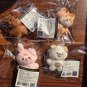 데이식스 쁘띠멀즈 미니 버전 방케필돈 일괄