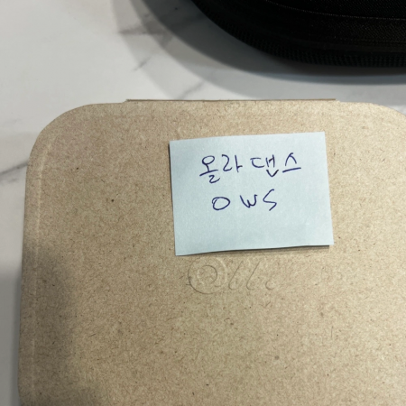 올라댄스 OWS 이어폰