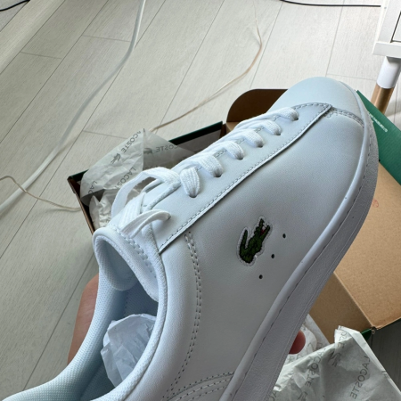 라코스테정품vc