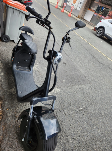 할리 전동스쿠터