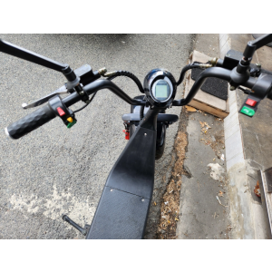 할리 전동스쿠터