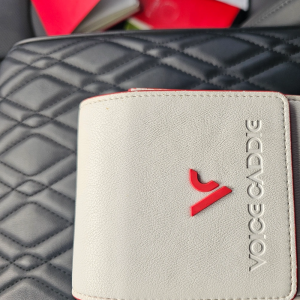 보이스캐디TL1판매합니다