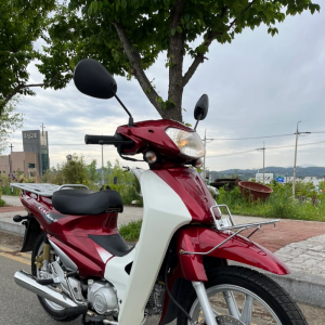 14년식.씨티ace2 카울올교체  엔진점검완료