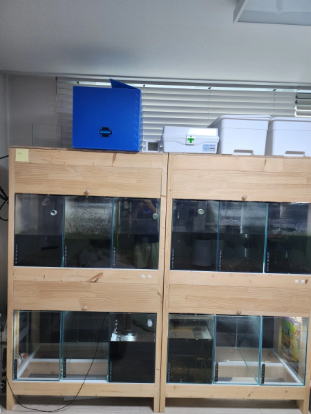 3자2단 축양장 포함 일괄