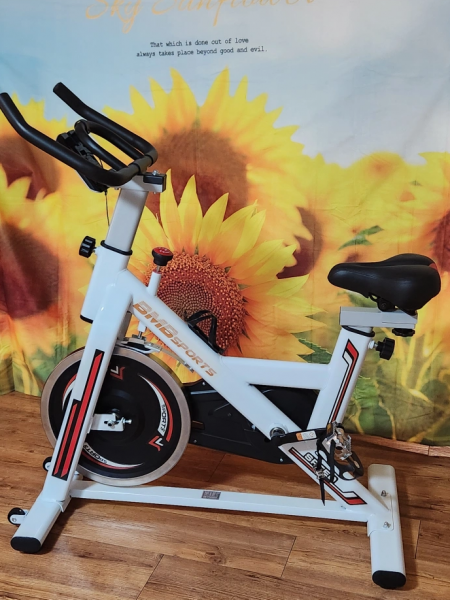 가정용 실내 스포츠 자전거 팝니다