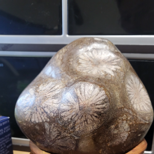 꽃돌.케냐소냐돌.화석돌  입니다