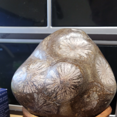 꽃돌.케냐소냐돌.화석돌  입니다