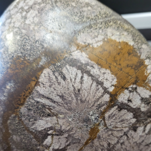 꽃돌.케냐소냐돌.화석돌  입니다