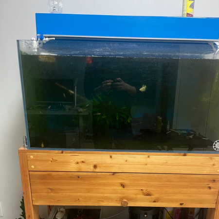 3자광폭 어항, 에하임2217, 유목받침대 세트 팝니다