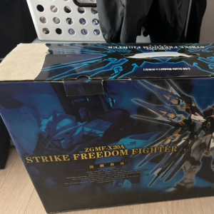 pg 다반 프리덤 팝니다