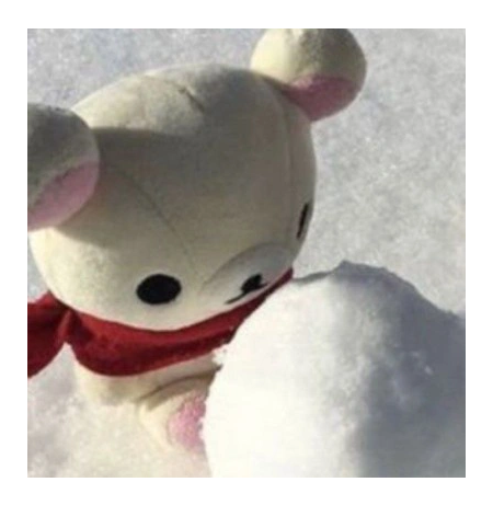 아이브 포카로 아이브 신곡 포카 구해용