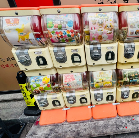 가챠 뽑기기계 일괄