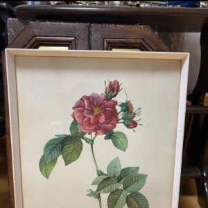 빈티지 르 두테 장미 액자