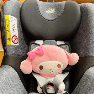 브라이텍스 듀얼픽스 카시트