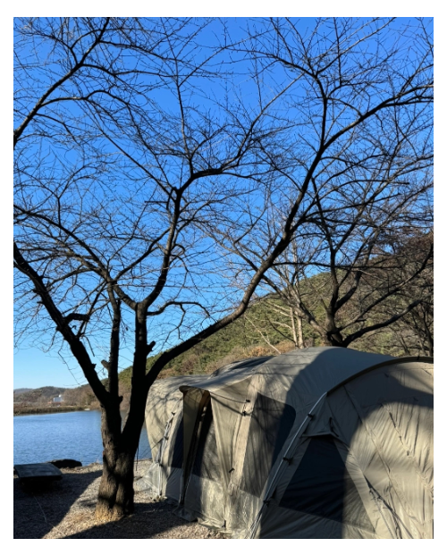 노스피크 아케디아맥스 올리브그레이